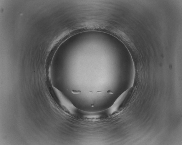 X0000068770488200604281242