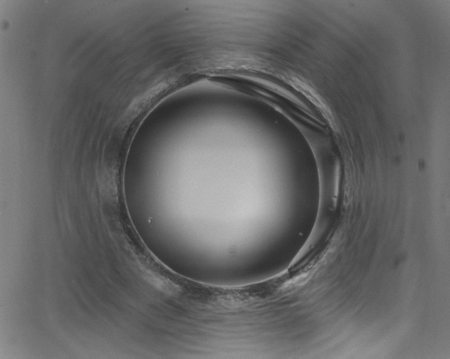 X0000068770489200604281242