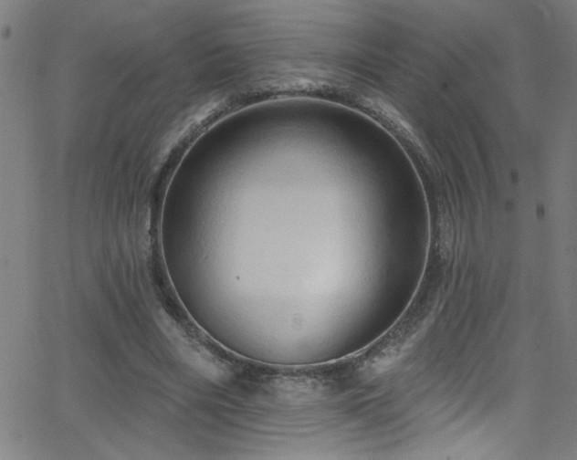 X0000068770490200604281242