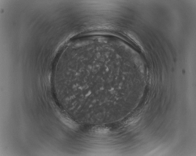 X0000068770491200604281242