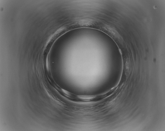 X0000068770492200604281242