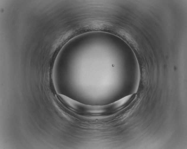 X0000068770493200604281242