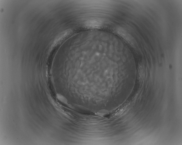 X0000068770494200604281242