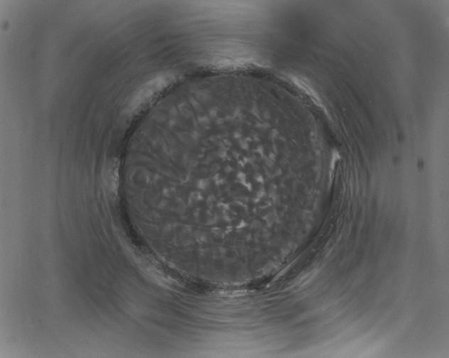 X0000068770495200604281242