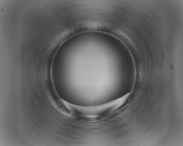 X0000068770496200604281242