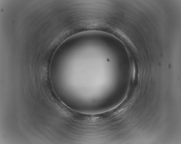 X0000068770497200604281242