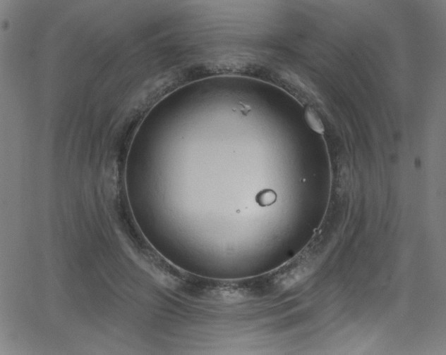 X0000068770498200604281242