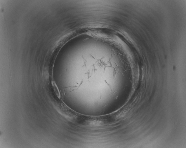 X0000068770500200604281242