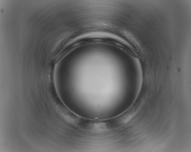 X0000068770501200604281242