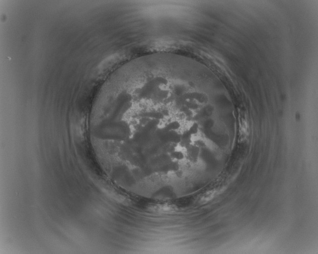 X0000068770503200604281242