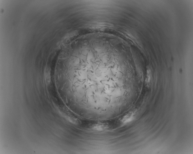 X0000068770504200604281242