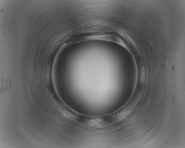 X0000068770505200604281242