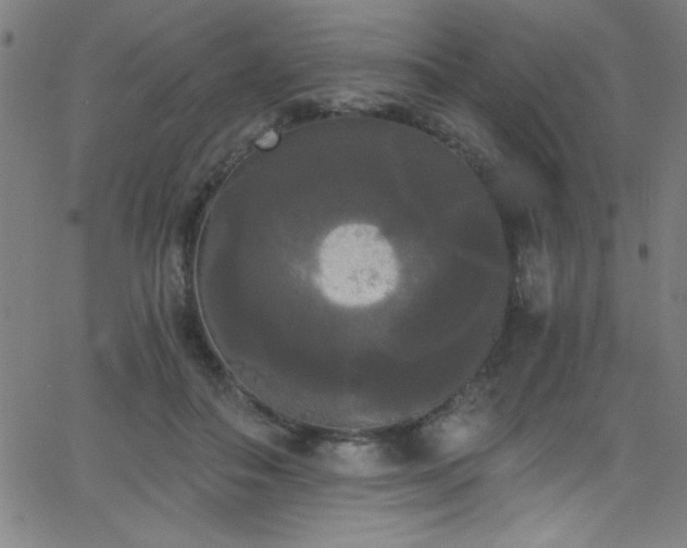 X0000068770506200604281242