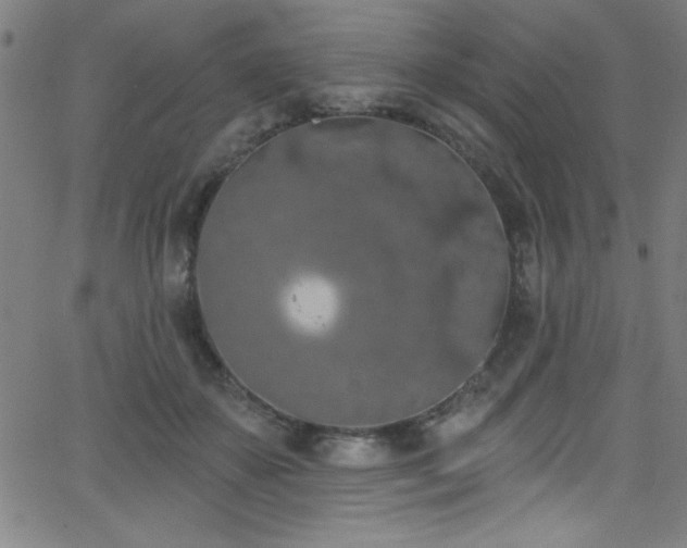 X0000068770507200604281242