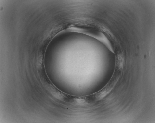 X0000068770509200604281242