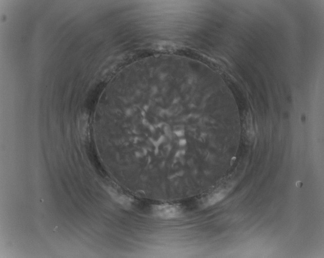 X0000068770511200604281242