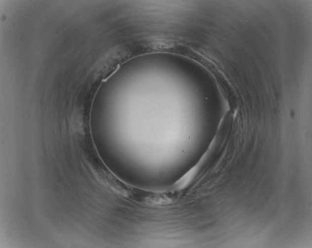 X0000068770512200604281242