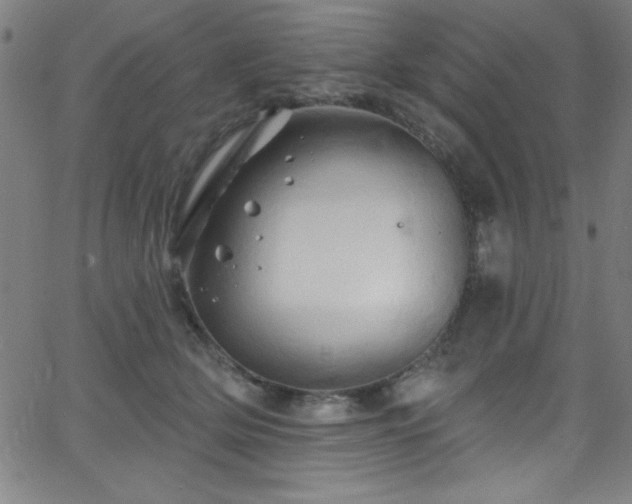 X0000068770514200604281242