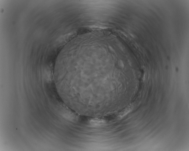 X0000068770515200604281242