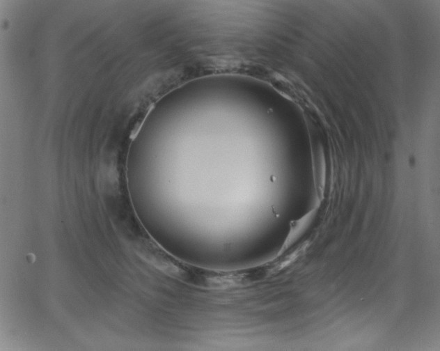 X0000068770516200604281242