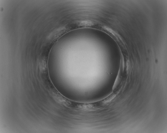 X0000068770517200604281242