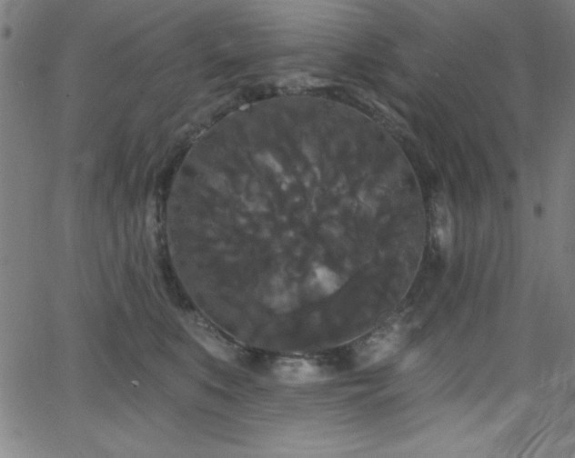 X0000068770519200604281242