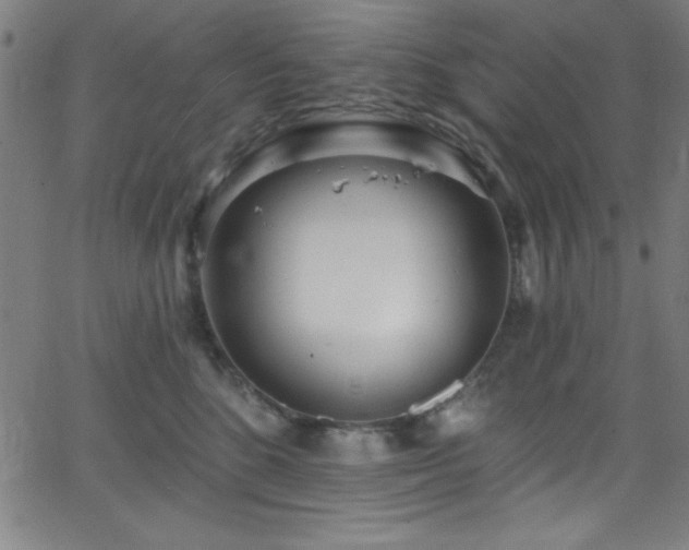 X0000068770520200604281241