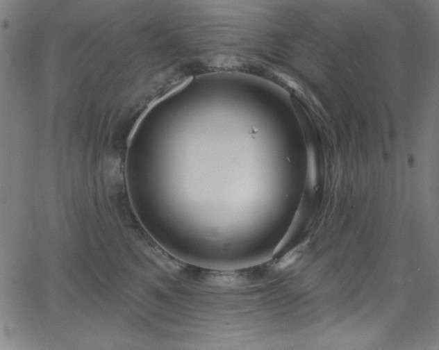 X0000068770521200604281241