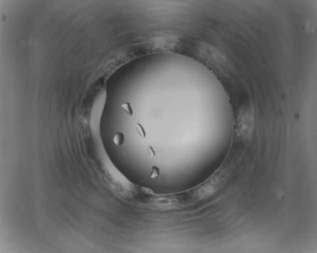 X0000068770522200604281241