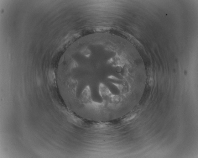 X0000068770523200604281241