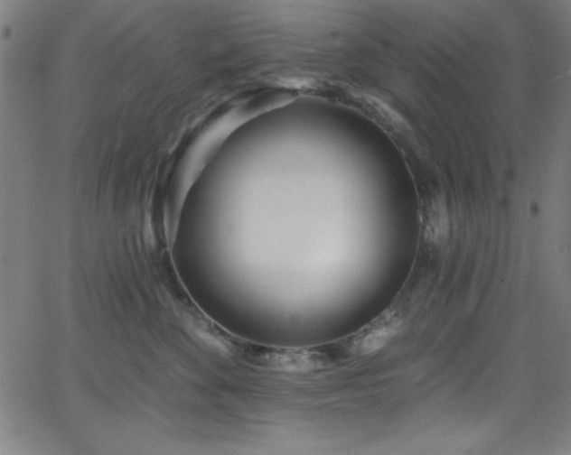 X0000068770524200604281241