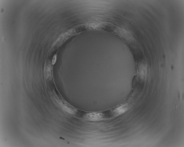 X0000068770526200604281241