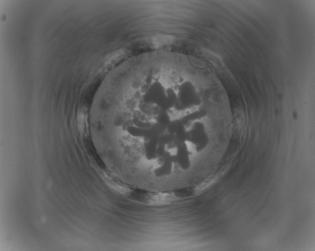 X0000068770527200604281241