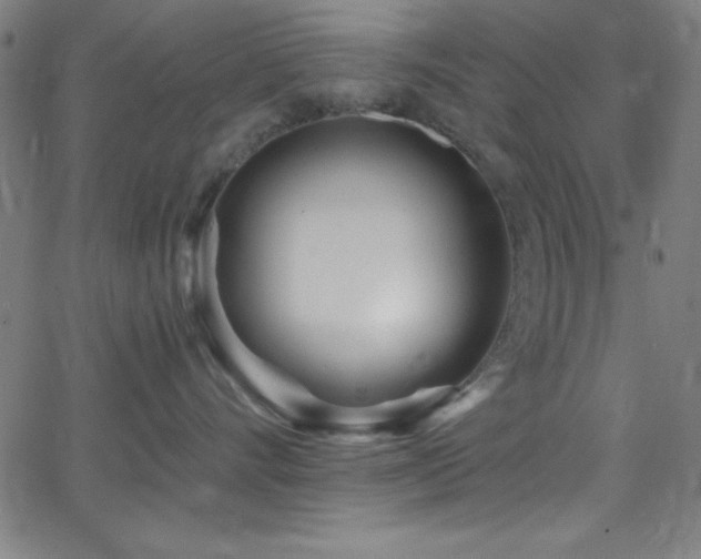 X0000068770528200604281241