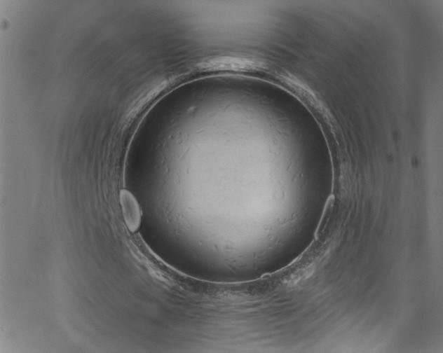 X0000068770529200604281241