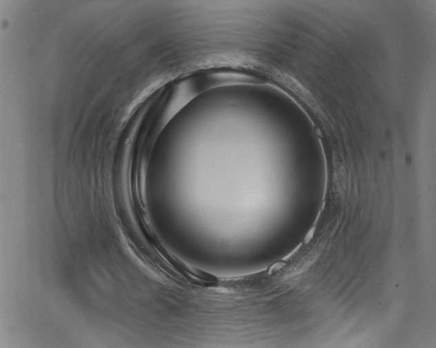 X0000068770530200604281241