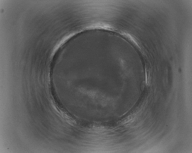 X0000068770531200604281241