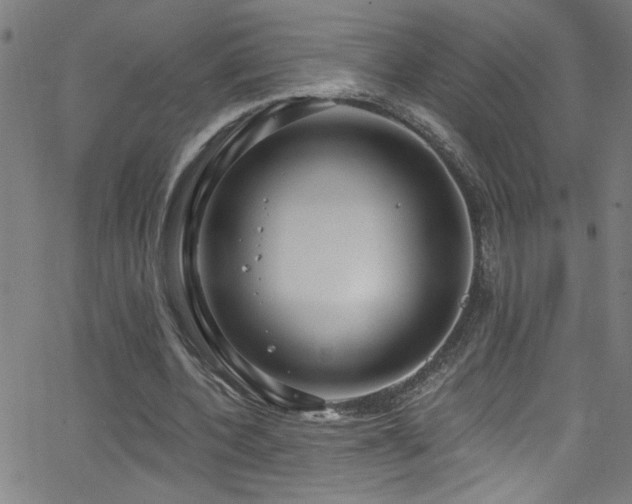 X0000068770532200604281241