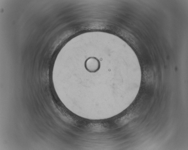 X0000068770534200604281241