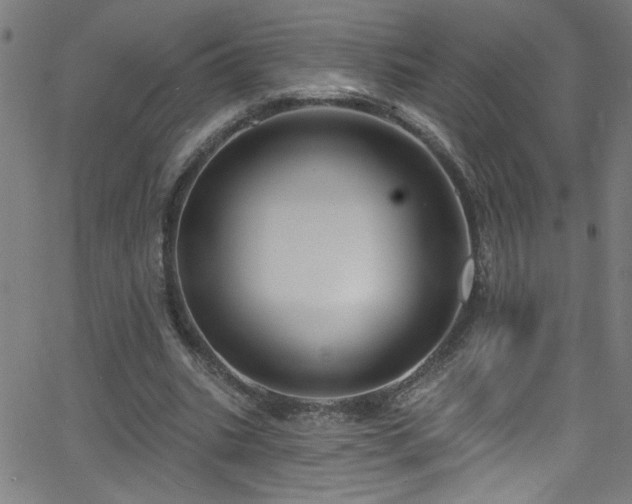 X0000068770535200604281241