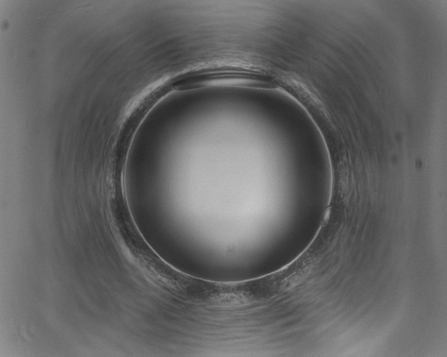 X0000068770536200604281241