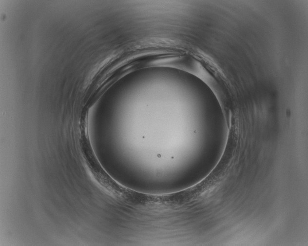 X0000068770538200604281241