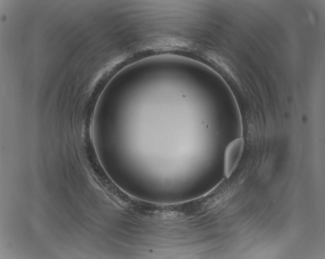 X0000068770539200604281241