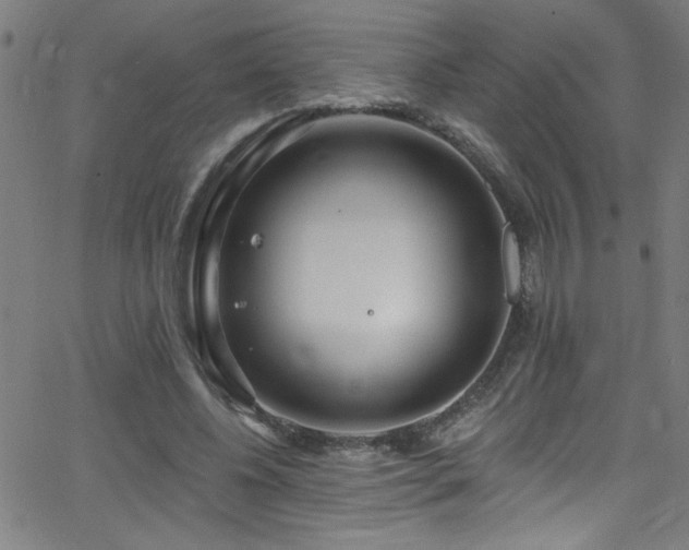 X0000068770540200604281241