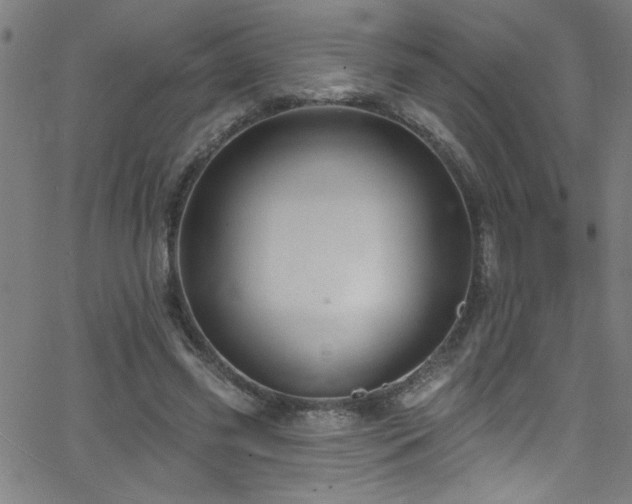 X0000068770541200604281241