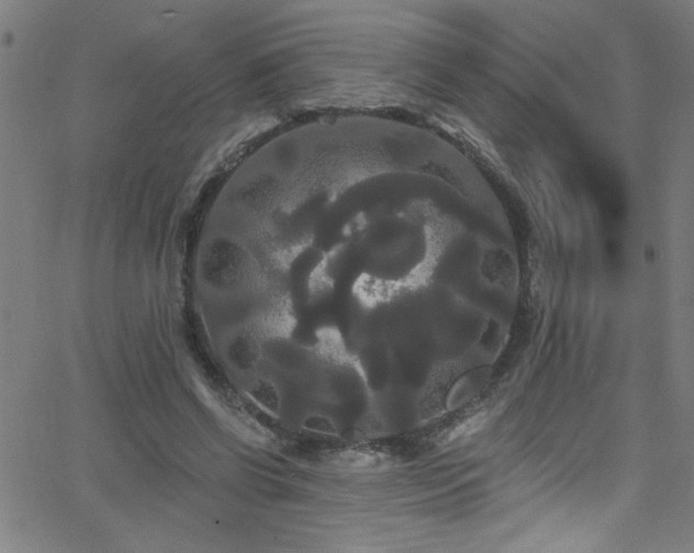 X0000068770542200604281241