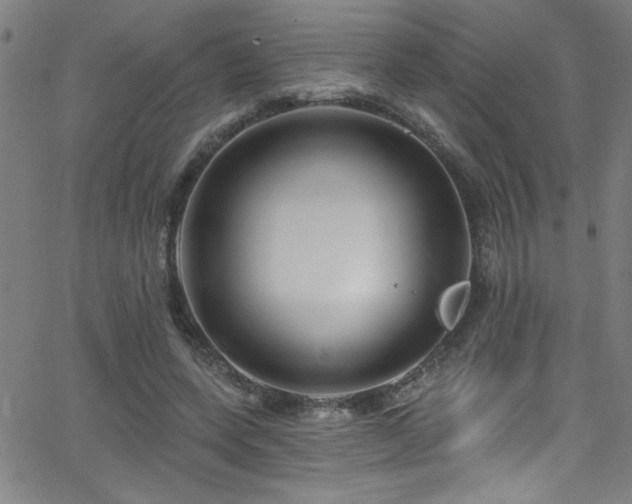 X0000068770543200604281241