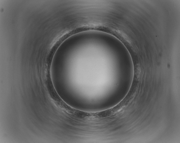 X0000068770544200604281241