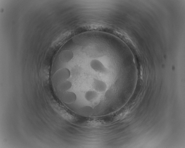 X0000068770545200604281241