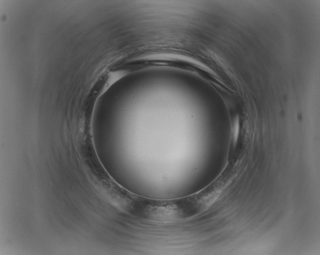 X0000068770548200604281241